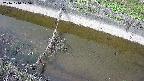 area10-20241010125035.jpg