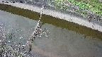 area10-20241010153036.jpg