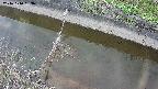 area10-20241010163035.jpg