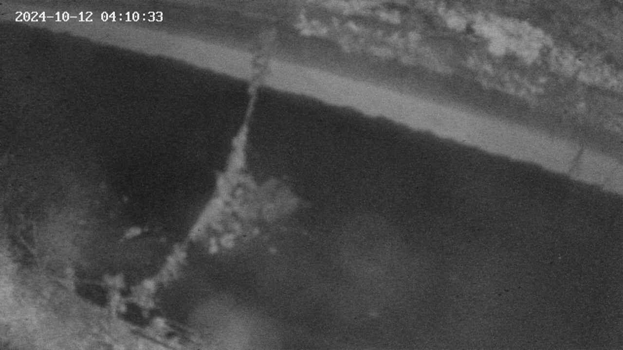 area10-20241012041034.jpg