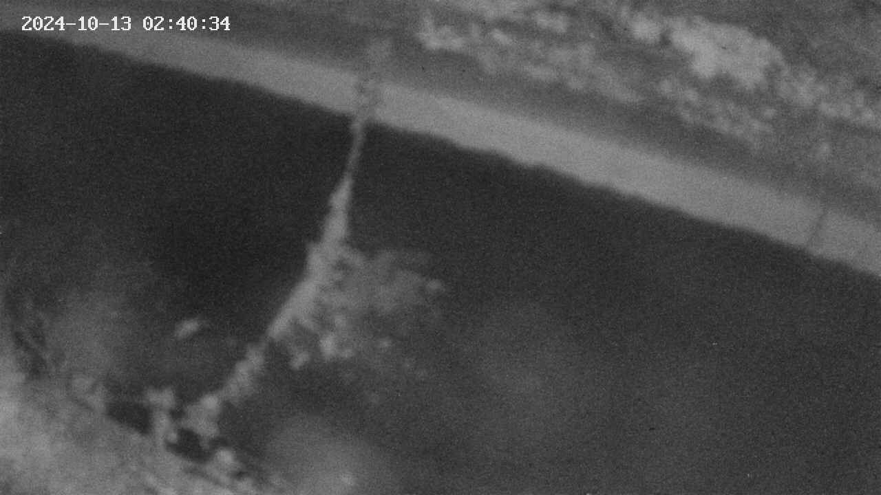 area10-20241013024035.jpg