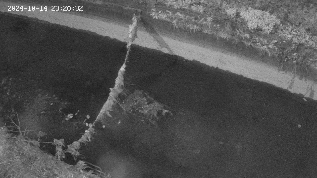 area10-20241014232033.jpg