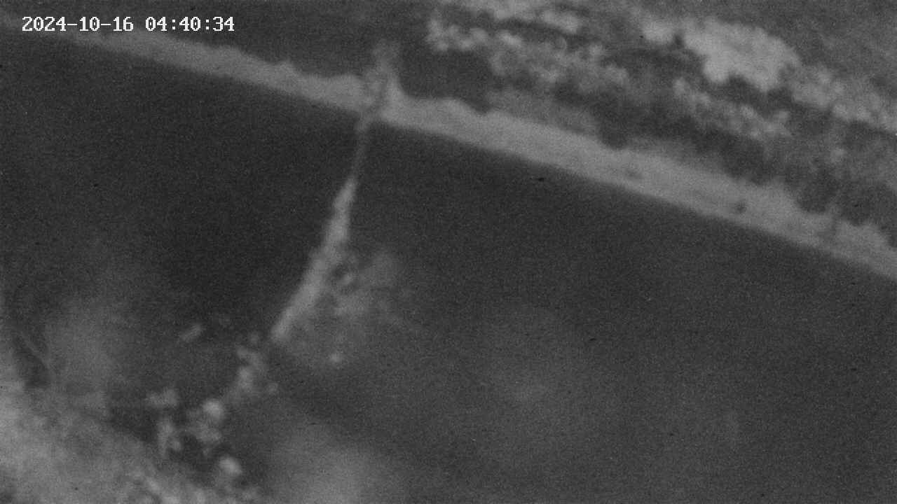 area10-20241016044035.jpg