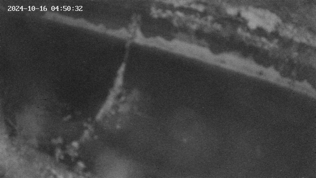 area10-20241016045033.jpg