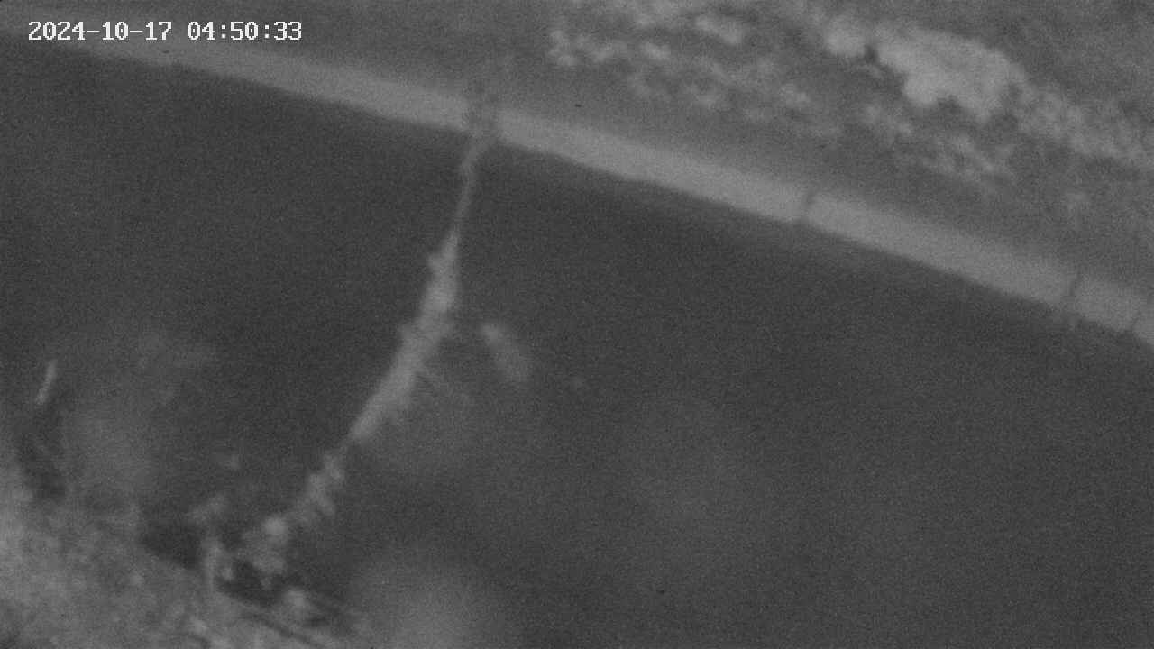 area10-20241017045034.jpg