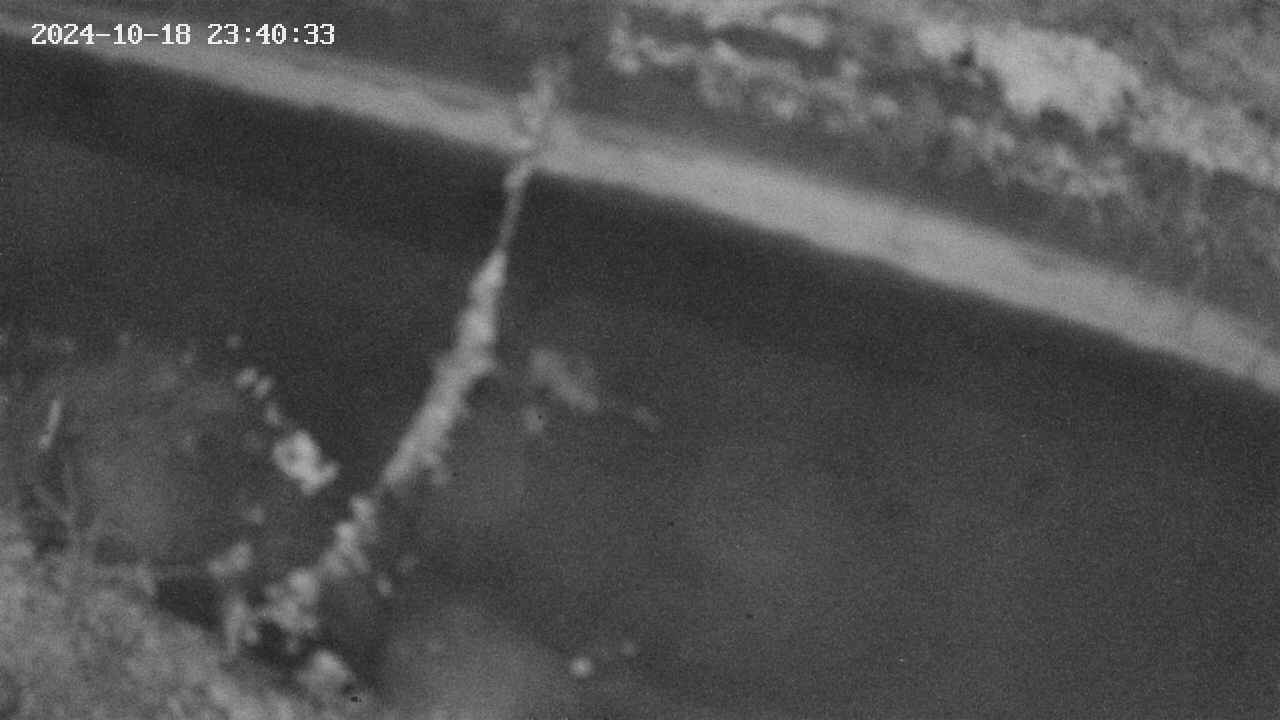 area10-20241018234034.jpg