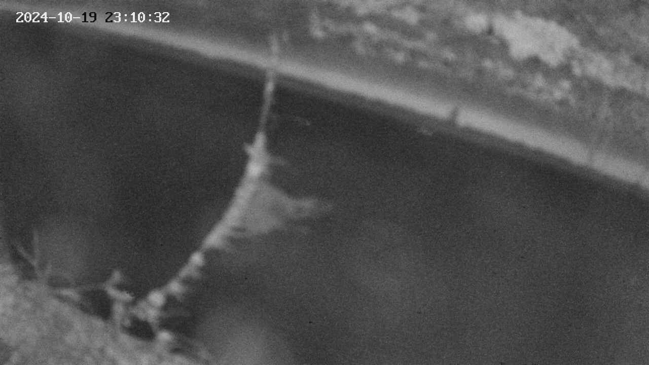 area10-20241019231033.jpg