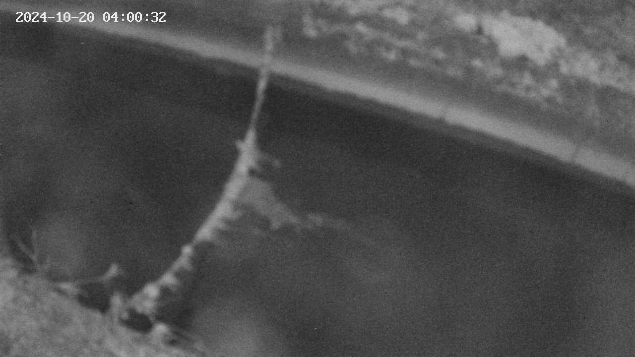area10-20241020040033.jpg