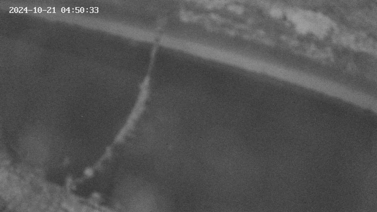 area10-20241021045034.jpg