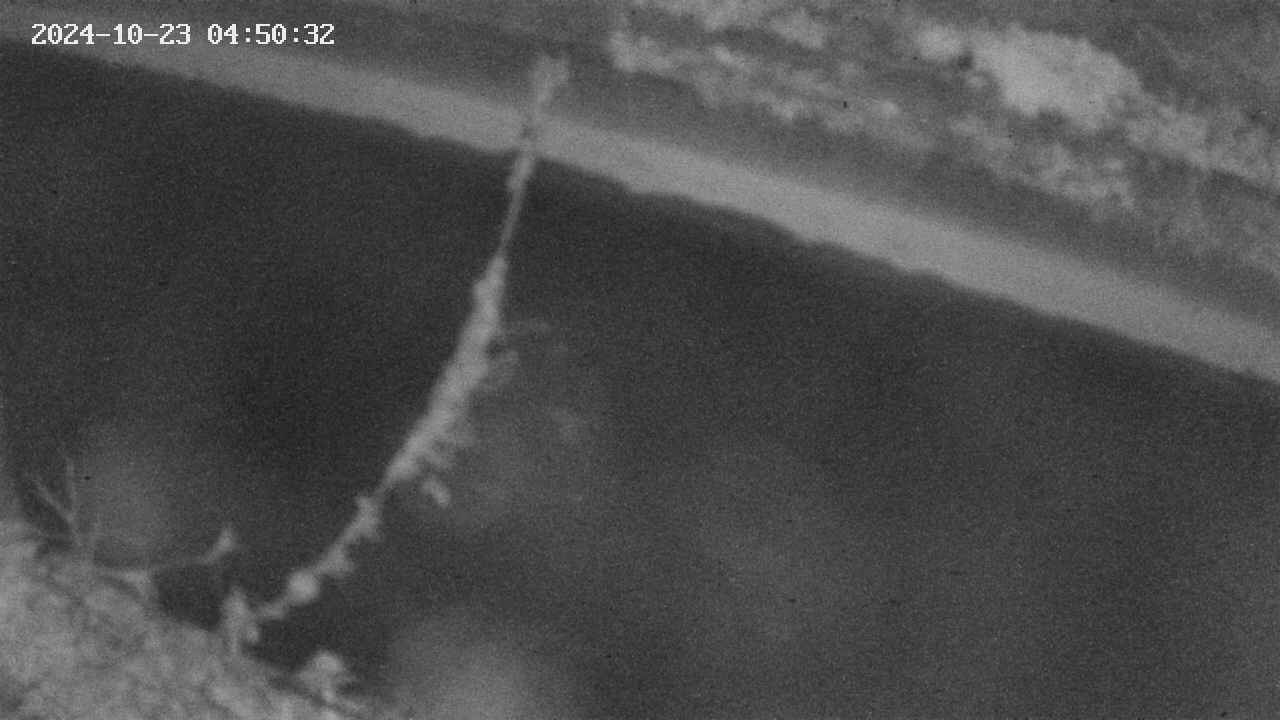 area10-20241023045033.jpg