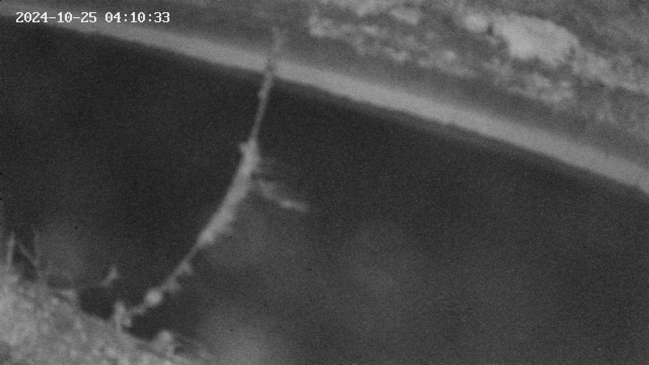 area10-20241025041035.jpg