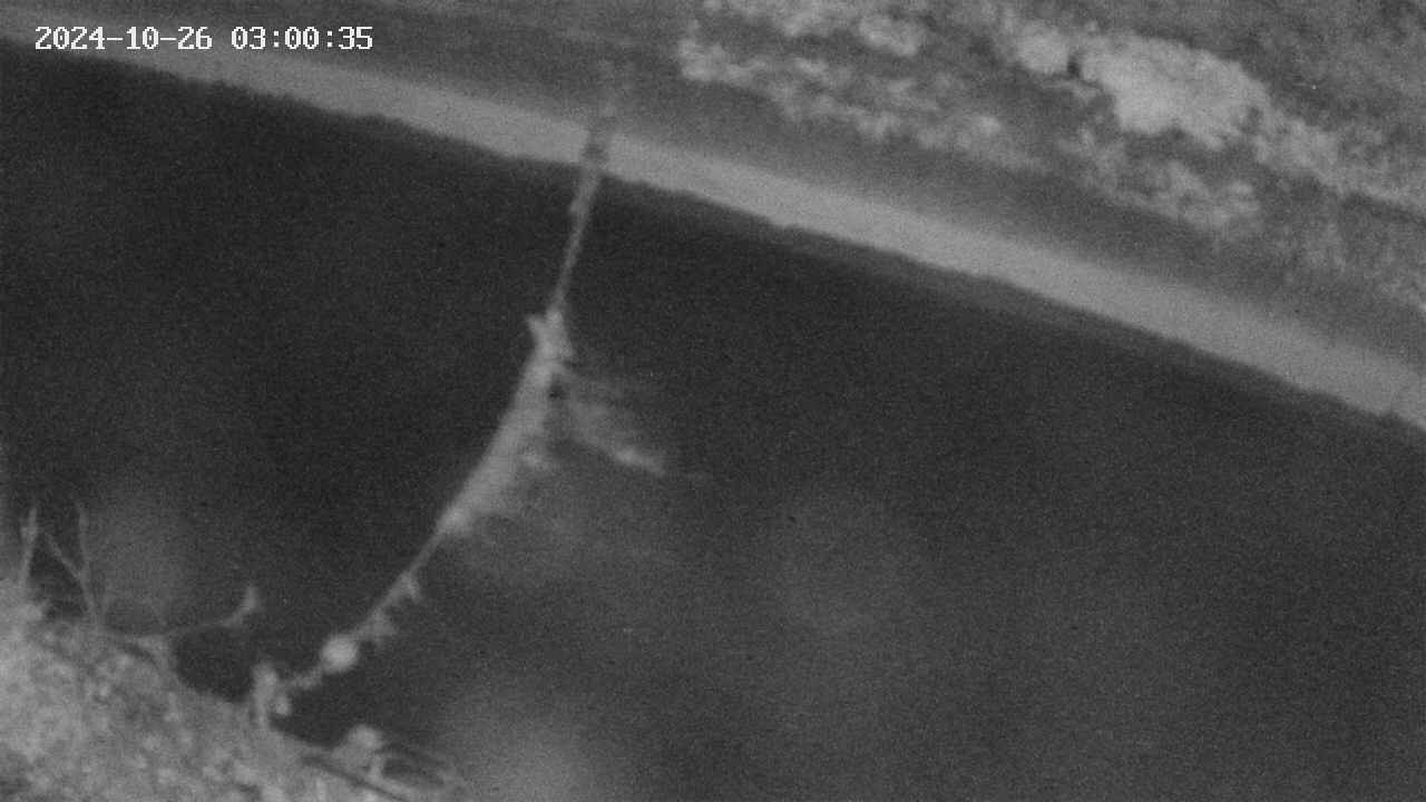 area10-20241026030035.jpg
