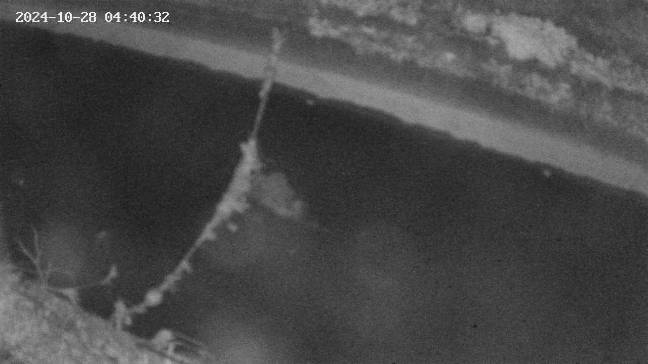 area10-20241028044034.jpg