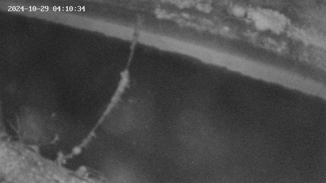 area10-20241029041035.jpg