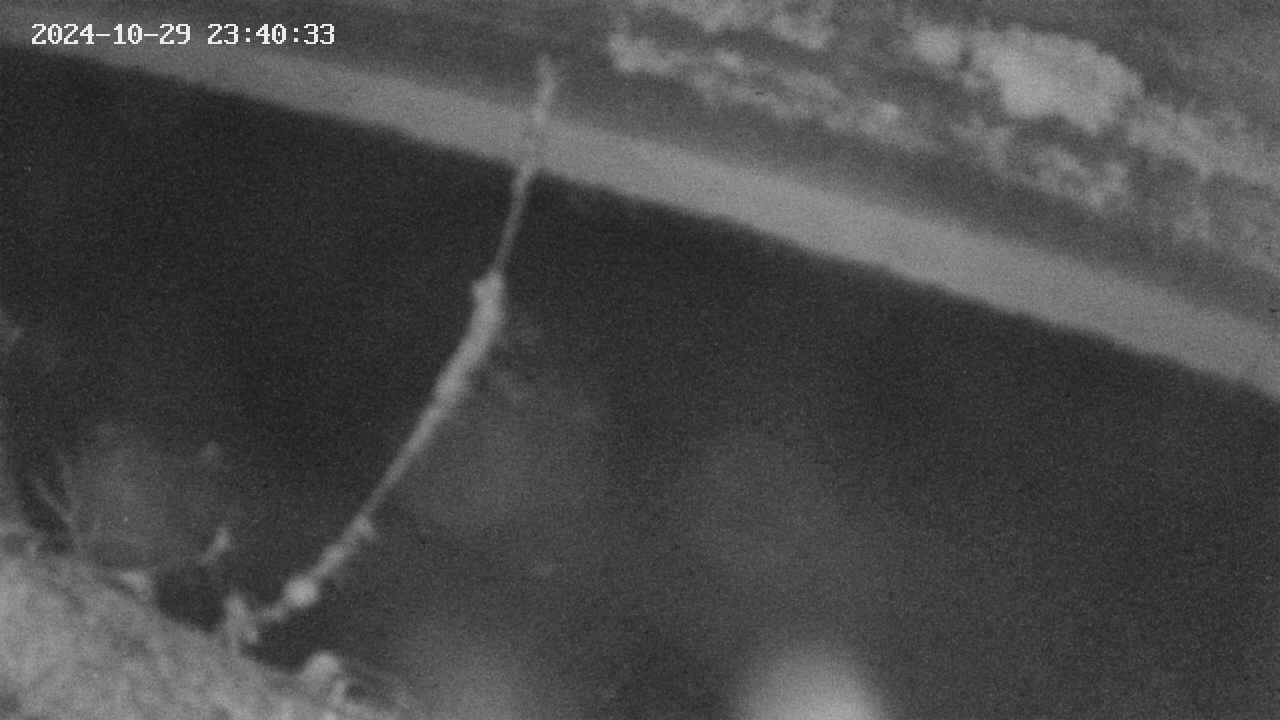 area10-20241029234034.jpg