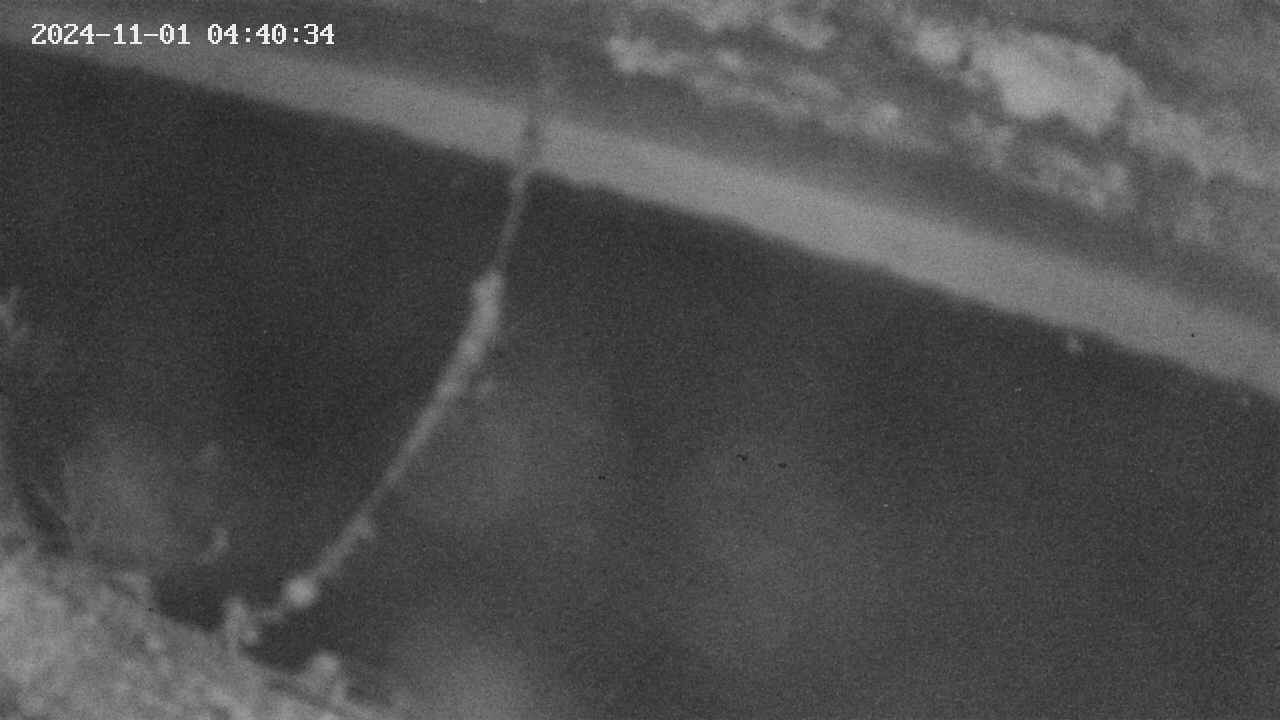 area10-20241101044035.jpg