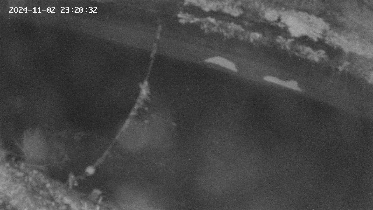area10-20241102232034.jpg