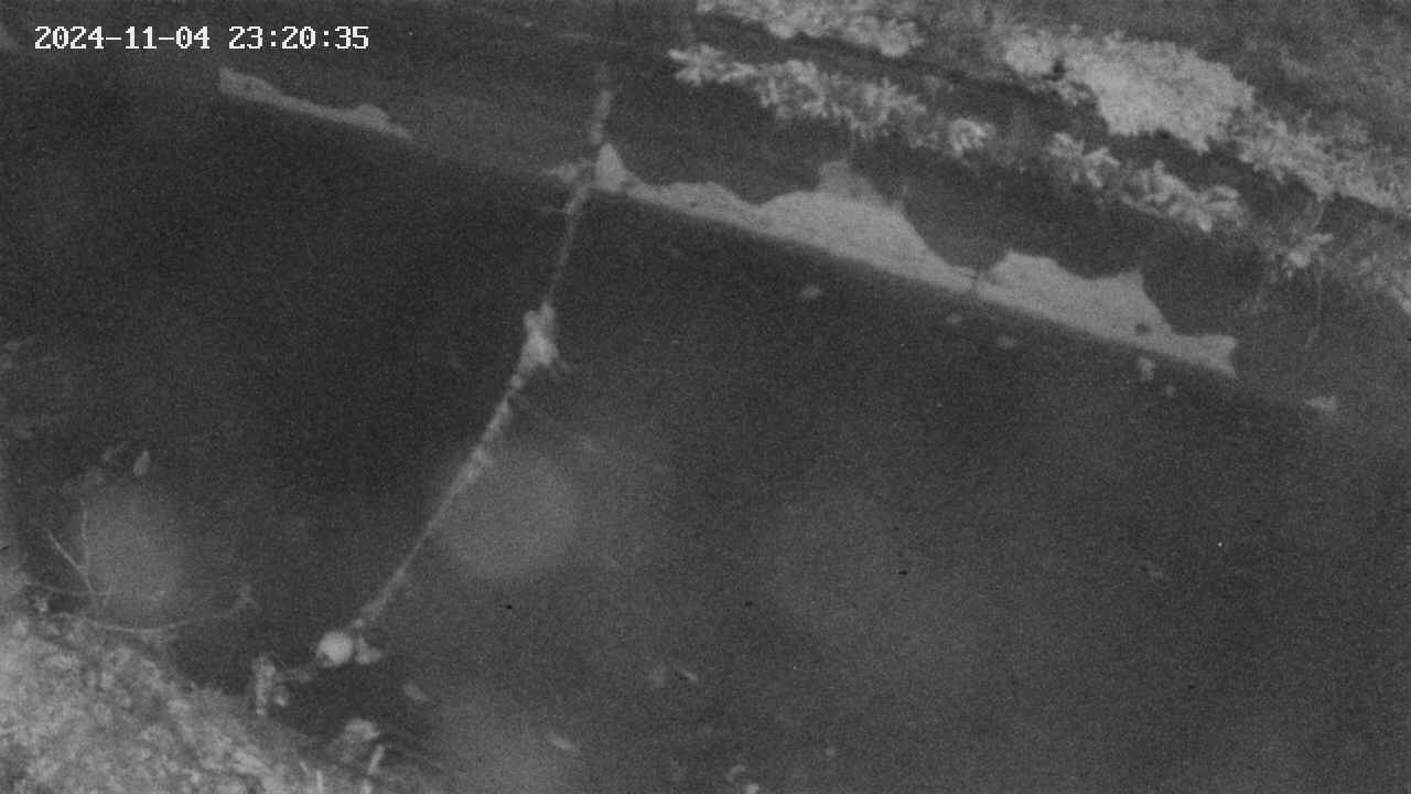 area10-20241104232035.jpg