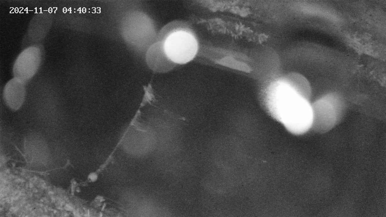 area10-20241107044034.jpg