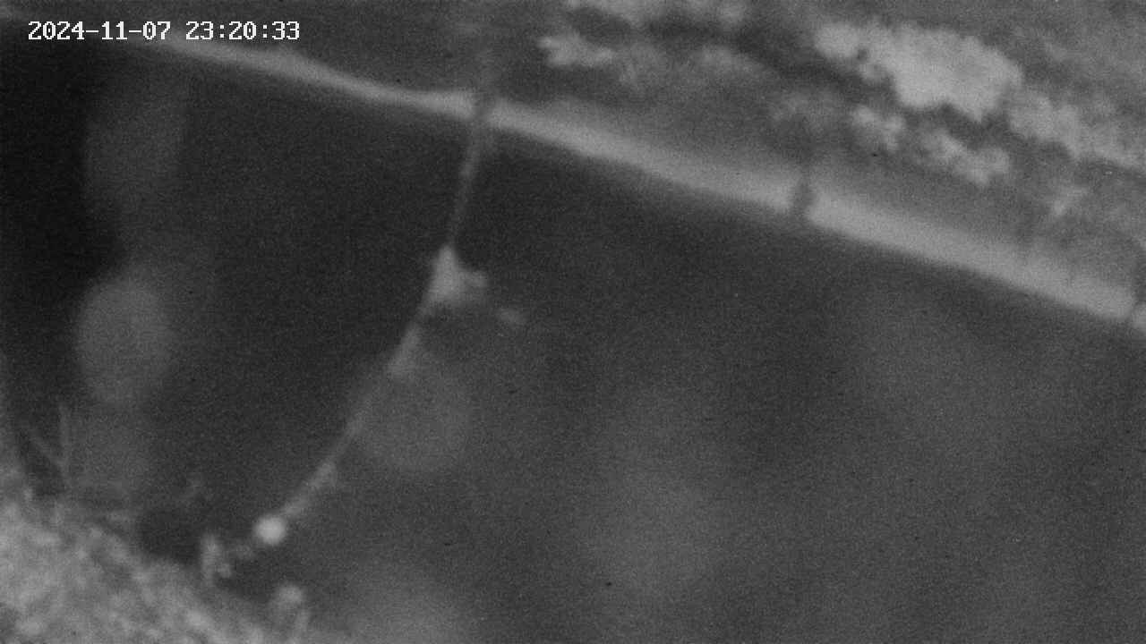 area10-20241107232034.jpg