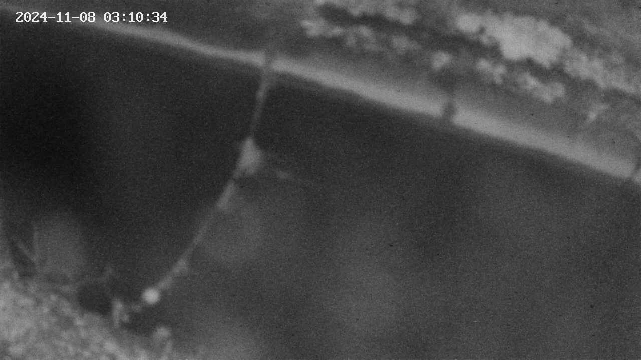 area10-20241108031036.jpg