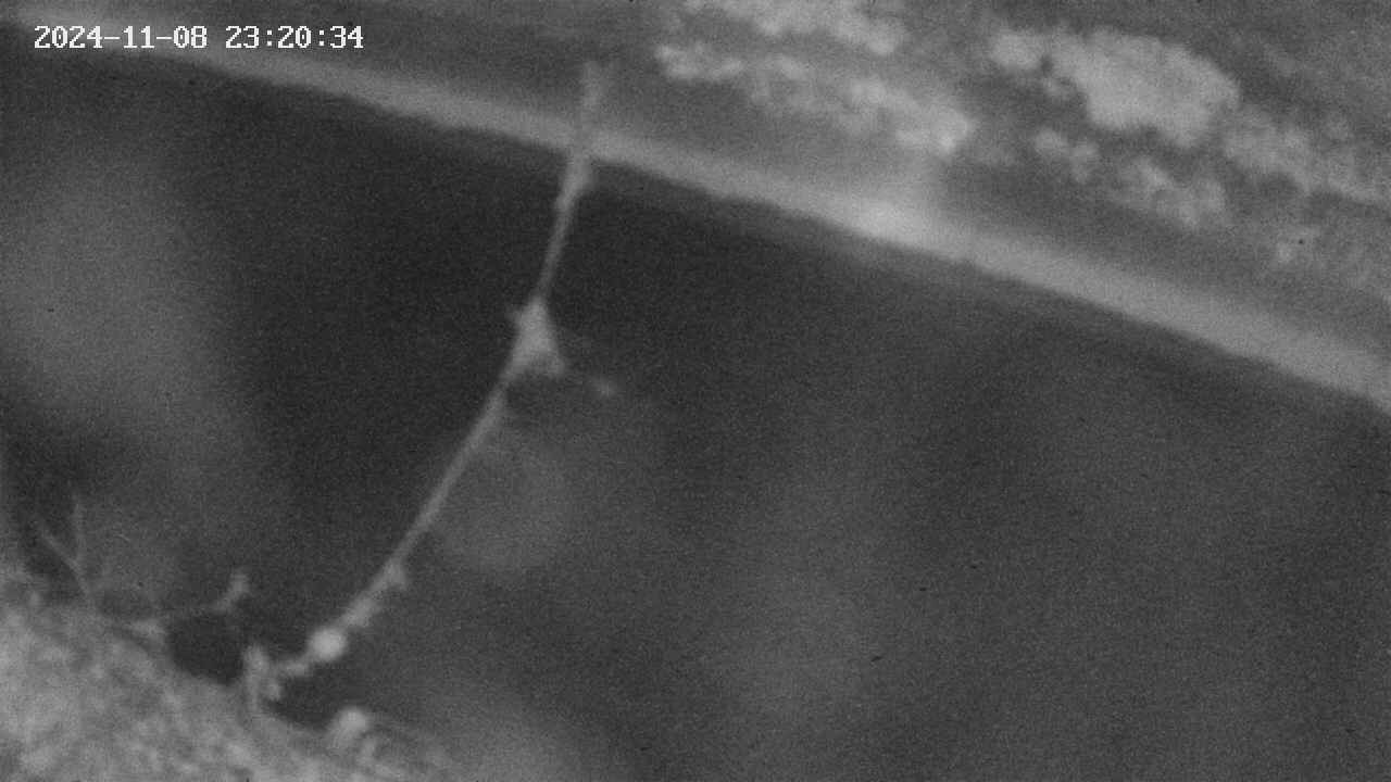 area10-20241108232035.jpg