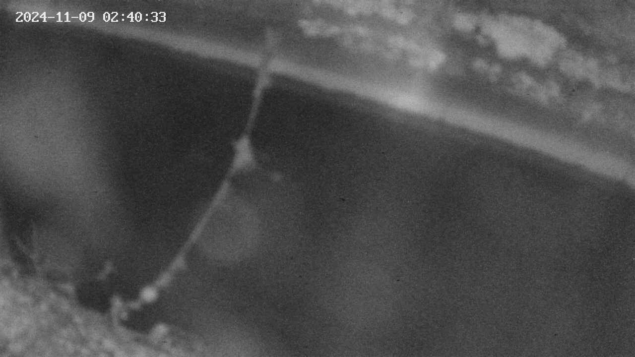 area10-20241109024035.jpg
