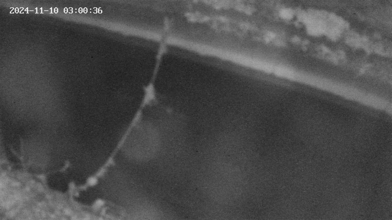 area10-20241110030037.jpg