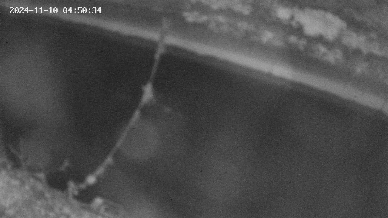 area10-20241110045035.jpg