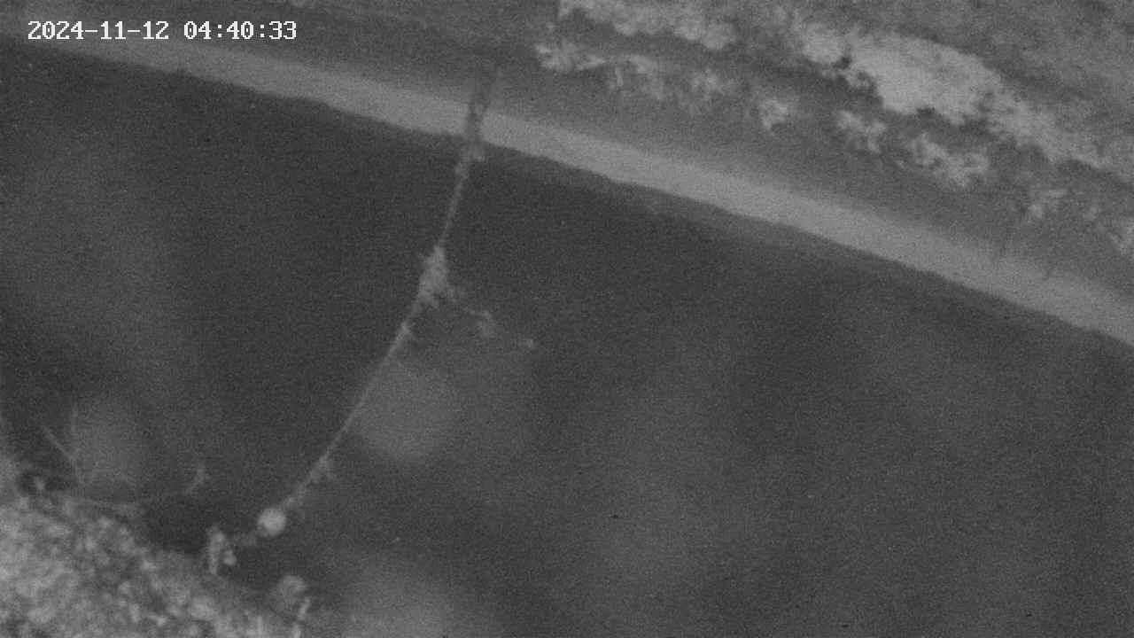 area10-20241112044034.jpg
