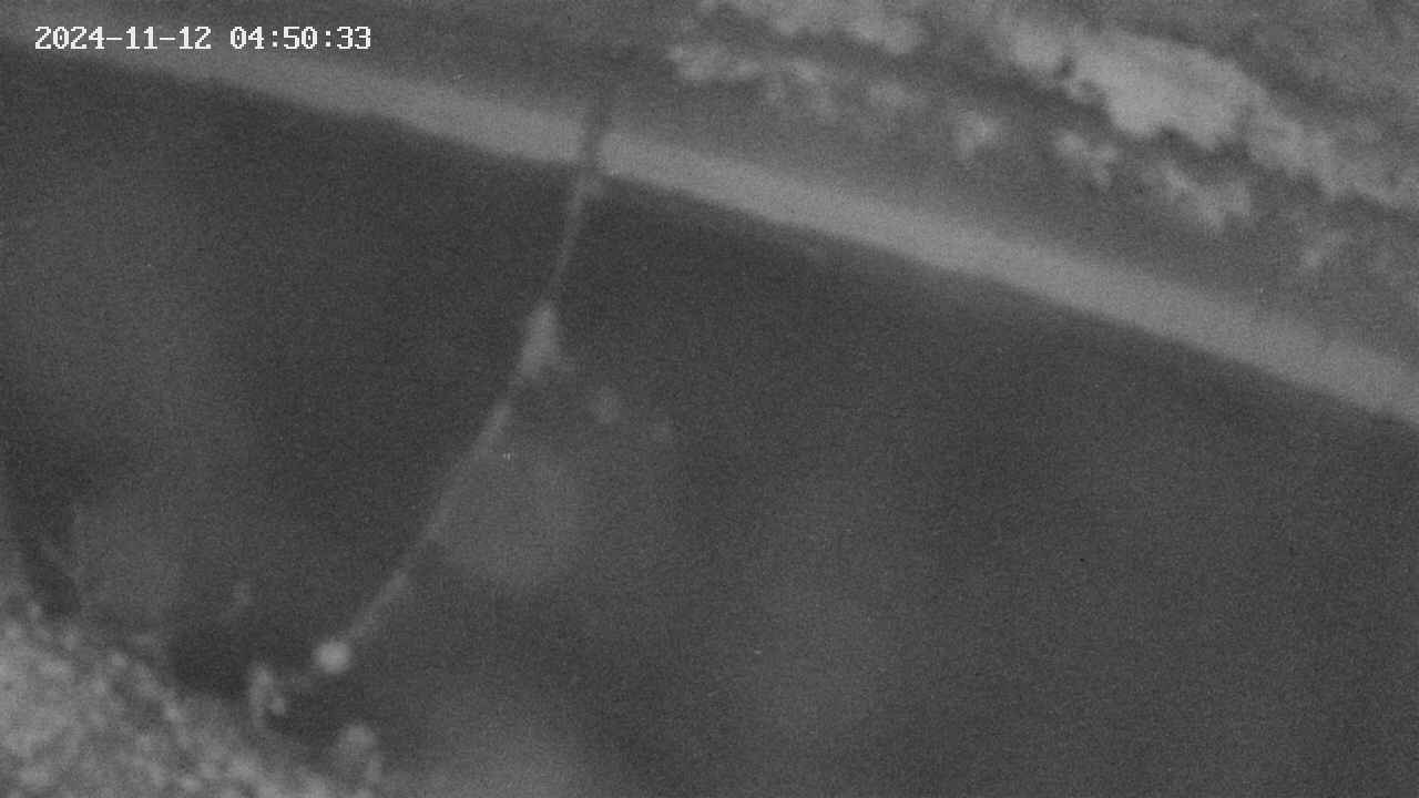 area10-20241112045034.jpg
