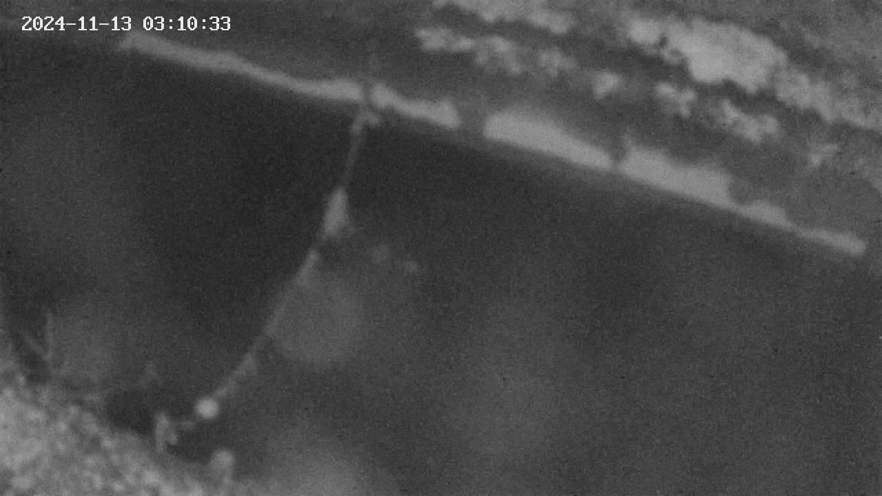 area10-20241113031034.jpg