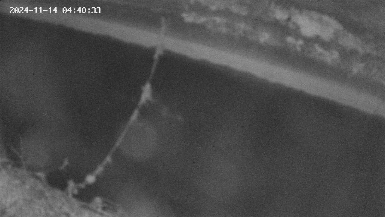 area10-20241114044034.jpg