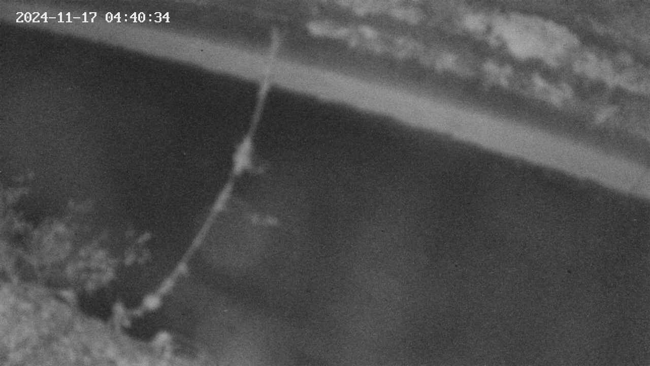 area10-20241117044035.jpg