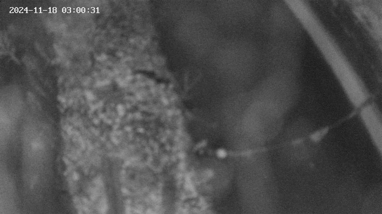 area10-20241118030033.jpg