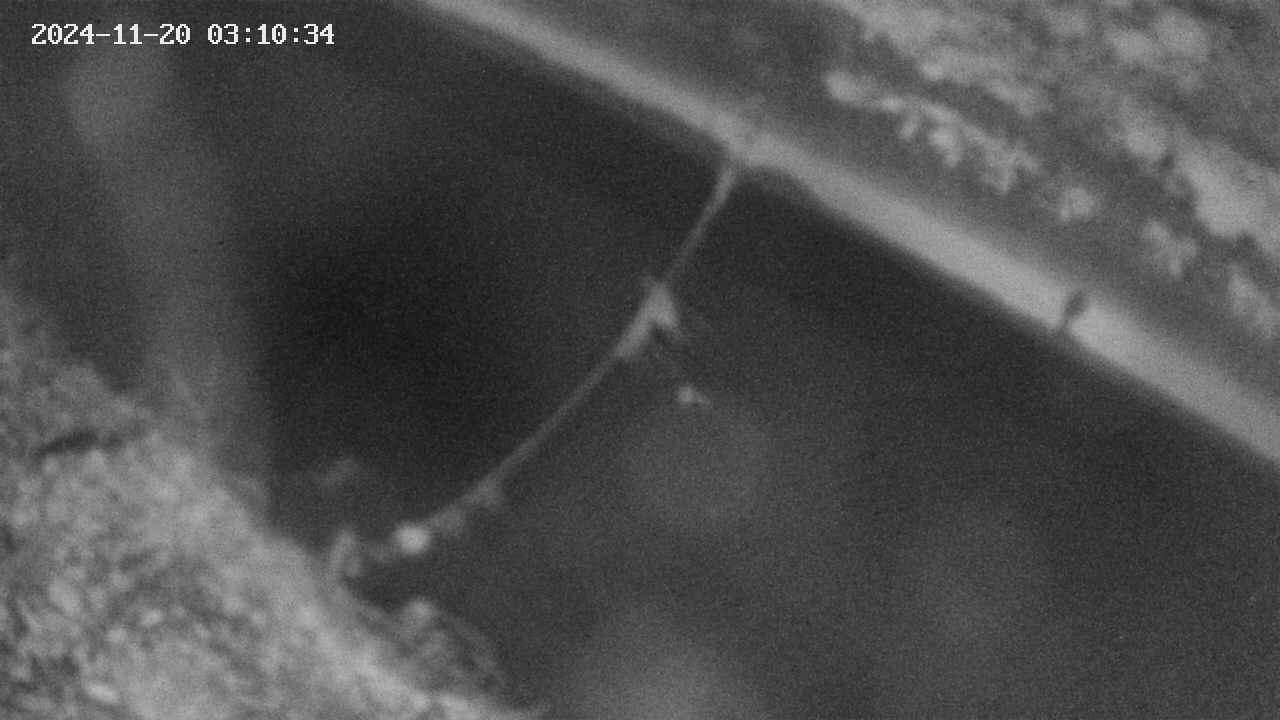 area10-20241120031035.jpg