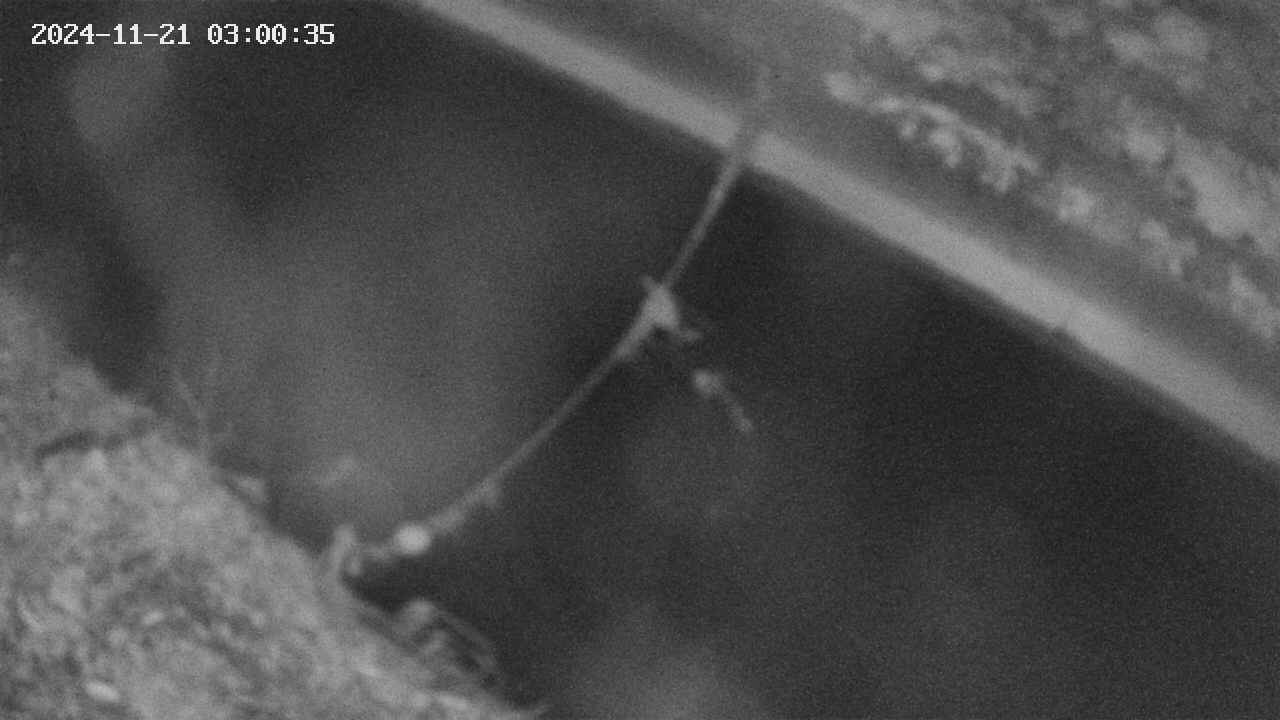 area10-20241121030036.jpg