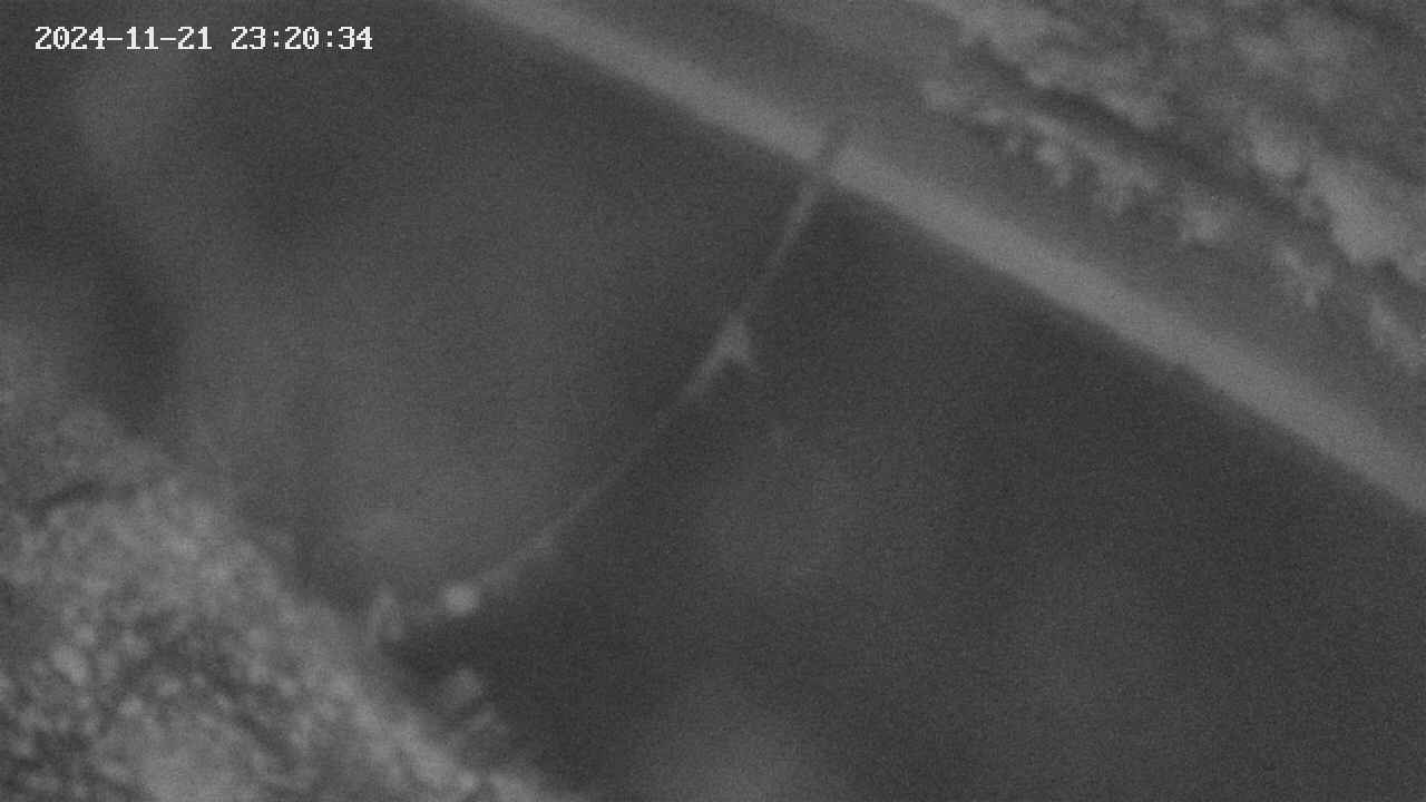 area10-20241121232035.jpg