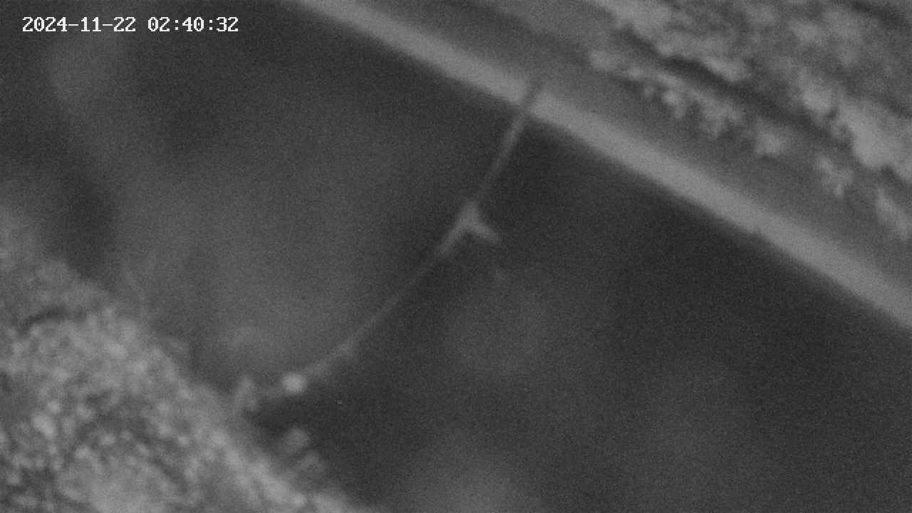 area10-20241122024033.jpg