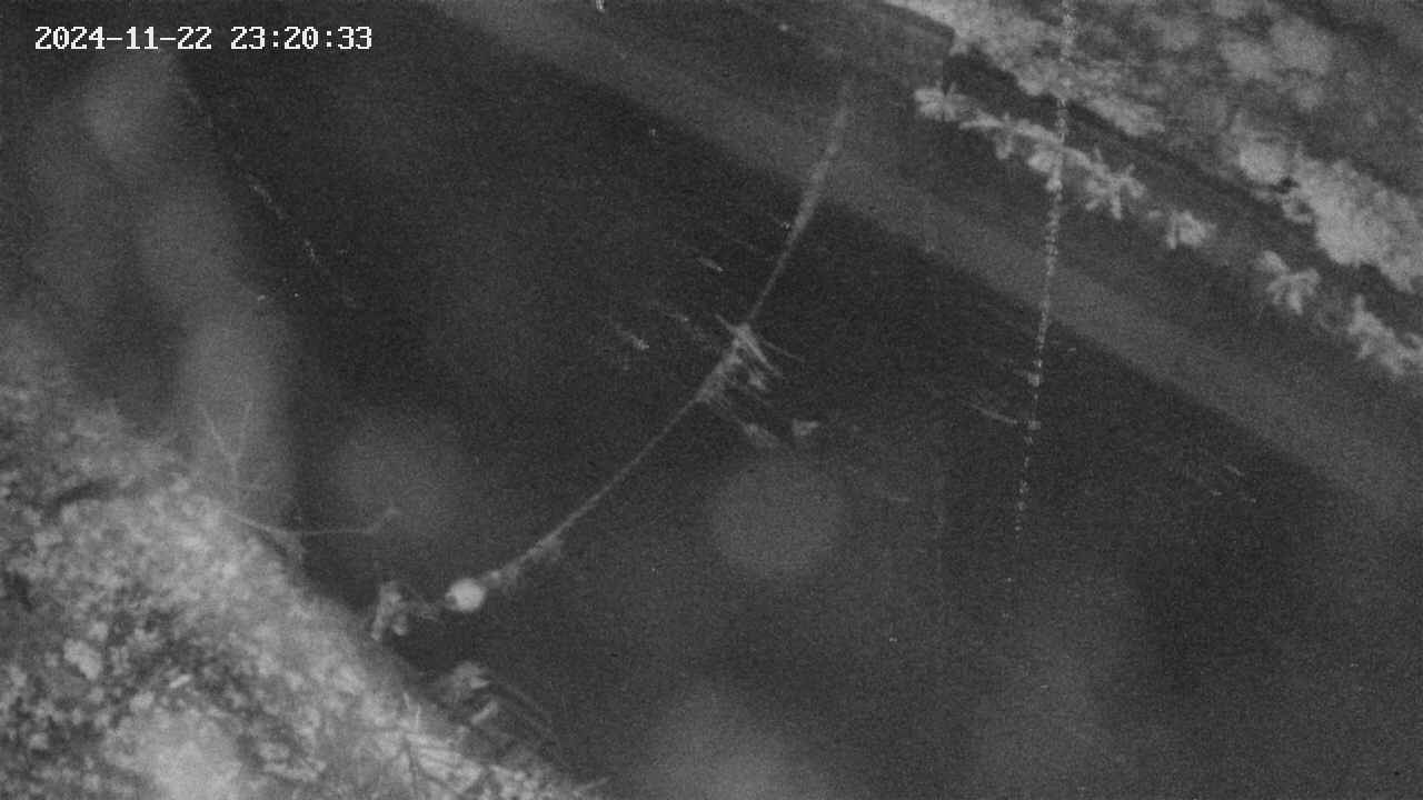 area10-20241122232034.jpg