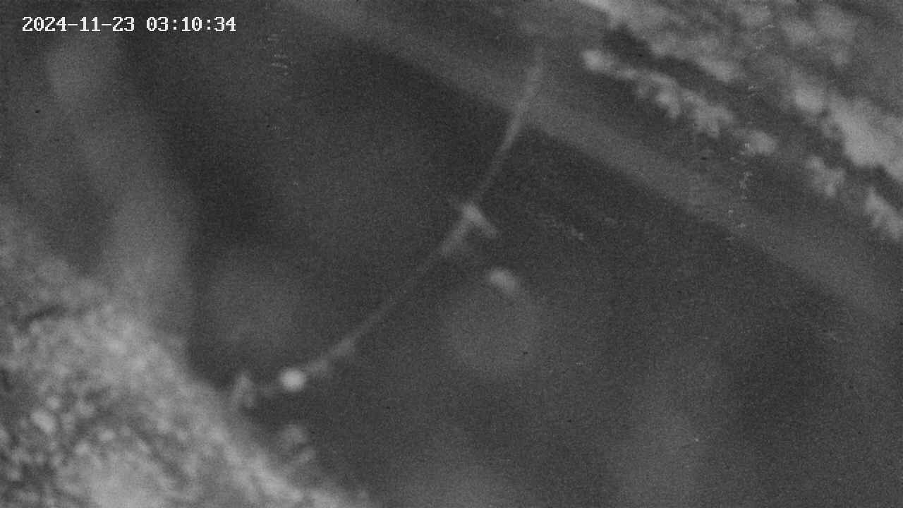 area10-20241123031035.jpg