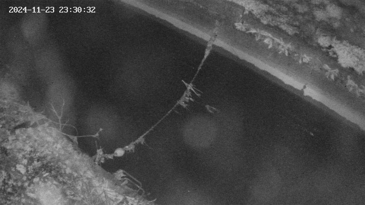 area10-20241123233034.jpg