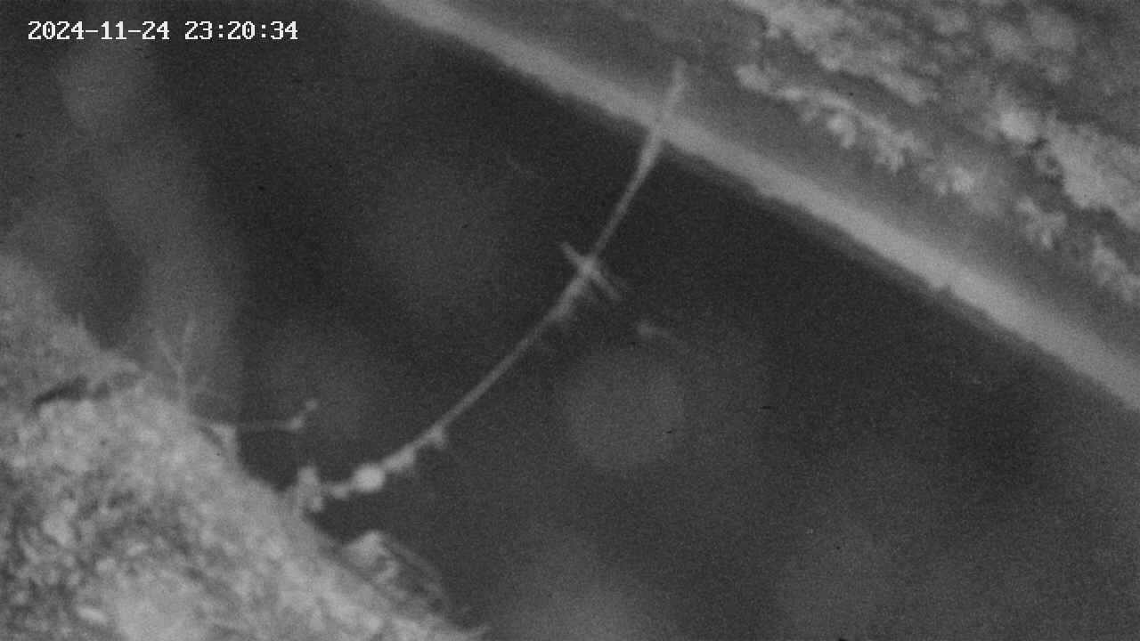 area10-20241124232035.jpg