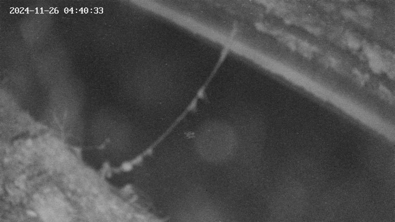 area10-20241126044034.jpg