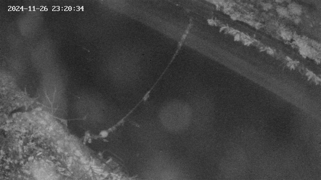 area10-20241126232035.jpg