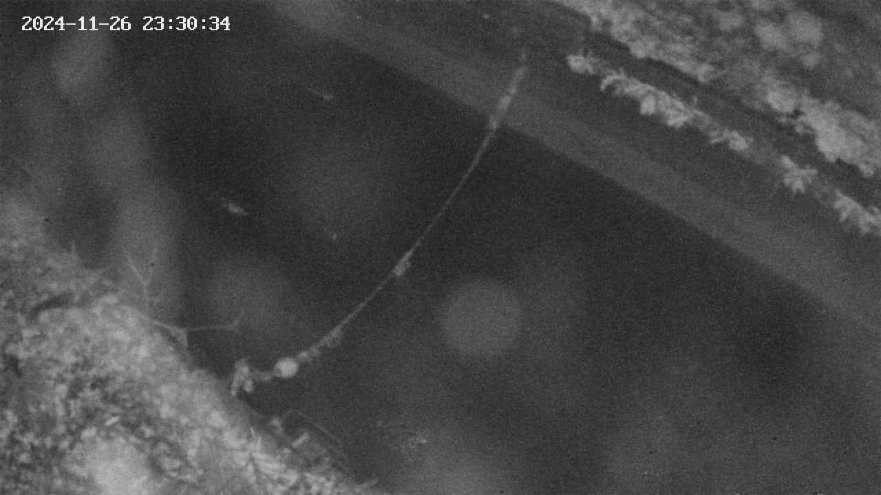 area10-20241126233035.jpg