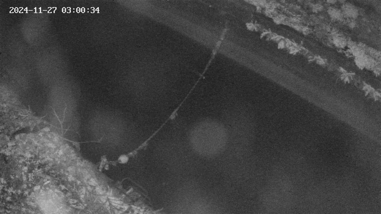 area10-20241127030034.jpg