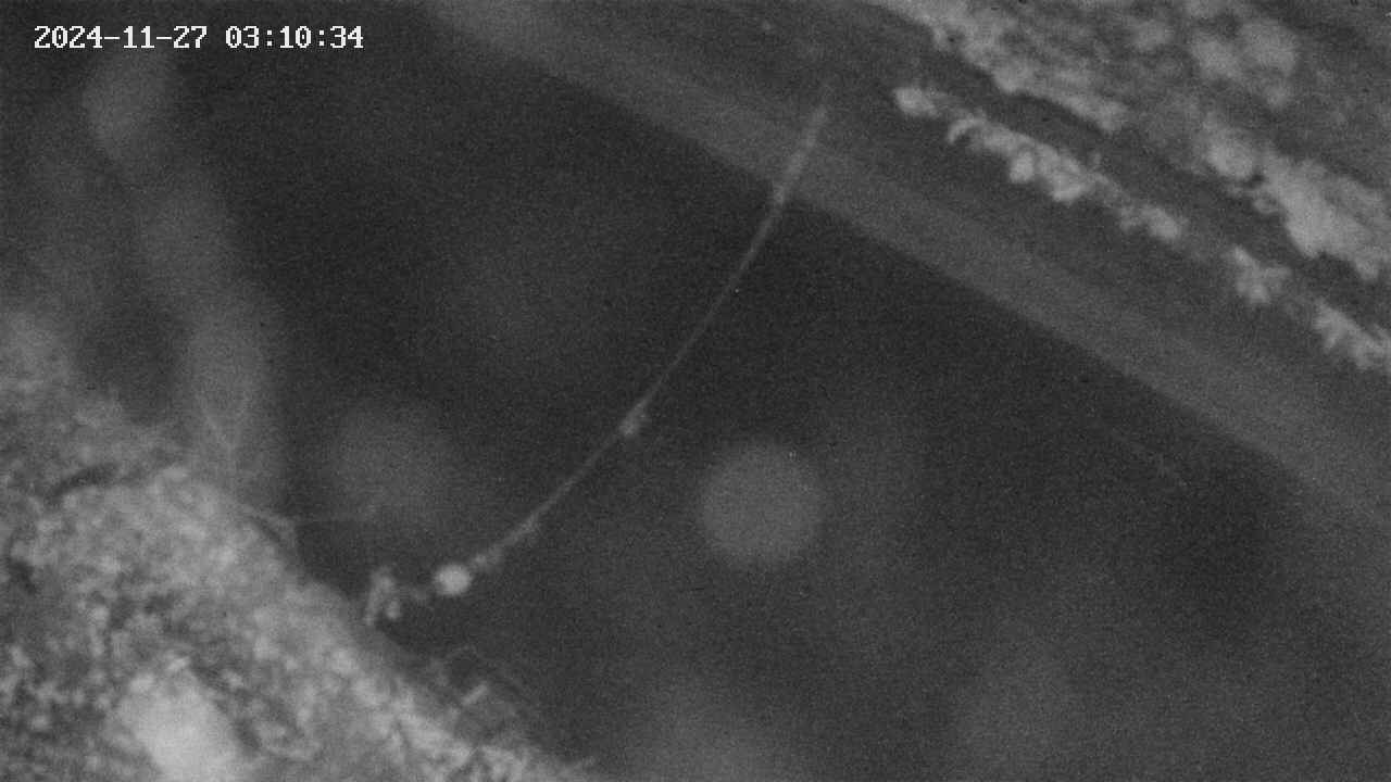area10-20241127031035.jpg