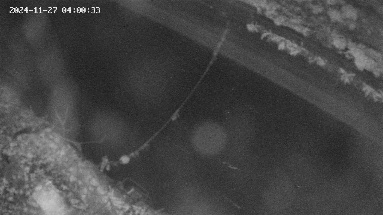 area10-20241127040033.jpg