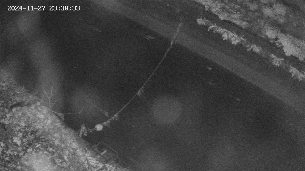 area10-20241127233035.jpg